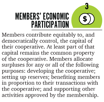 Members' economic participation