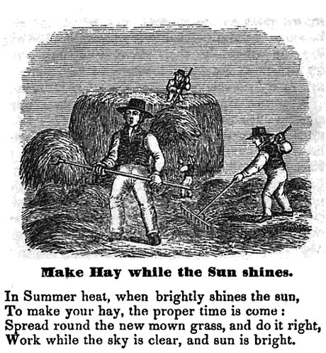 hay solar cartoon