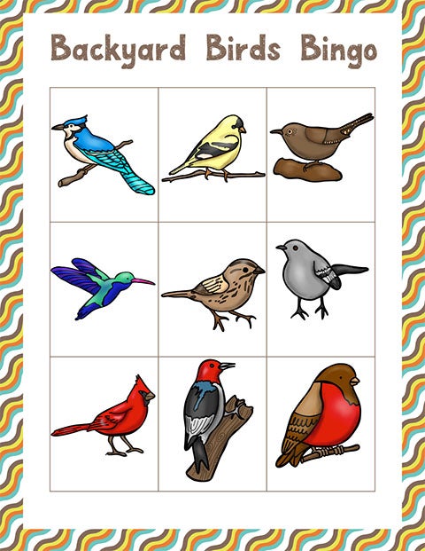 Bird-Bingo sheet