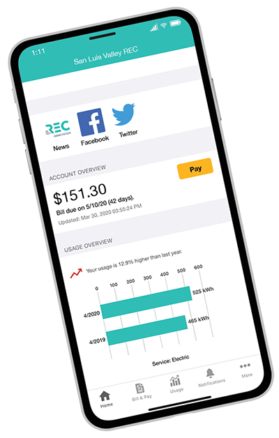 Screenshot of REC SmartHub home page