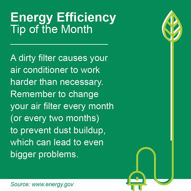 Energy efficiency tip of the month